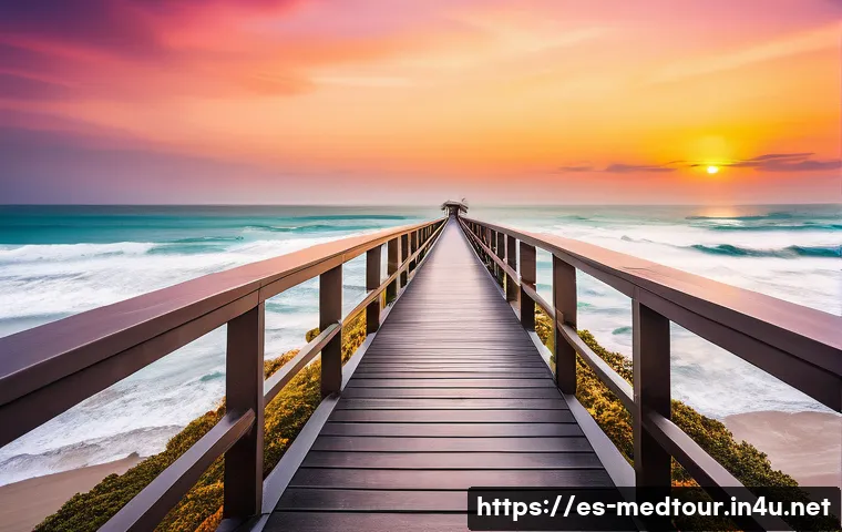 의료관광코디네이터 관련 학위와 자격증 비교 관련 이미지 1